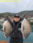 ((연명다경레저))15팀출조10팀감성돔45/45/45외4팀꼴방조황