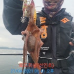 변여사수예 | (변여사)야간 돌문어,주간 갑오징어 핫한 조황~