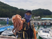 (마당여, 소장군도)신광레져 돌문어 대박 조황