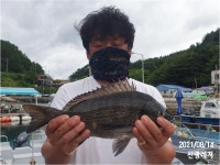 (마당여, 소장군도)신광레져 돌문어 감성돔 전갱이 조황