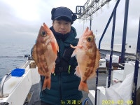 루차이&돼지랑한판승부 | 뉴거제호 명절을 앞두고 제수고기 돼지왕열기 한판승부~