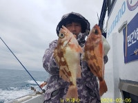루차이&돼지랑한판승부 | 뉴거제호 명절을 앞두고 제수고기 돼지왕열기 한판승부~