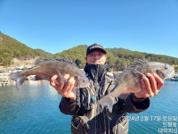 대박호)사량도 4/4/4/4/4/4등등