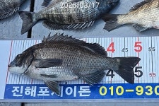 대물감시카고 훌러덩 5수하고도 51부터 23수 대박조황