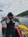 ***(금) 당사도 닭섬 갑니다 ***
