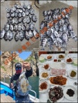 8일날 "가거도,태도,밀매도" 돌돔 조황!! 성게를 깨면서 씨알도 좋아지네요!! 8일날 '가거도,태도,밀매도' 돌돔 조황!! 성게를 깨면서 씨알도...