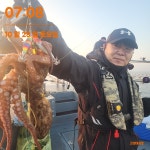 28일 요분들만 오시면 문어가ㅎㅎ