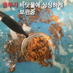 (25시 낚시/ 미니스톱) 마산 원전 방파제 1인 도다리 조황