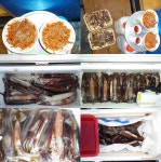 통영항진피싱 열기&오징어 조황입니다.(낼은 기상악화로 휴무)