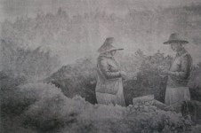 야긴예술연구소 | 삶(Life) - 제주특별자치도 문화예술진흥원 삶(Life) | 제주특별자치도청