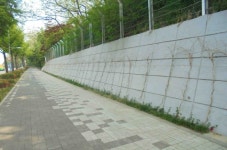 제이오케이컴퍼니흑석푸릇해 | 동작구 벽면녹화사업, 도시곳곳이 푸릇푸릇!~ - 전국매일신문 - 전국의 생생한 뉴스를 ‘한눈에’ 동작구 벽면녹화사업, 도시곳곳이 푸릇푸릇!~