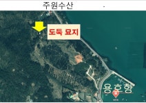 용호수산회식당 | 주인허락 없이 무단으로 묘지쓰신분 찾습니다.(용호항과 주원수산 사이 임야) | 상세 | 벼룩시장 : 진도군청