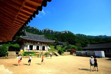국가유산채널 > 참여 > 자료실 > 이야기 자료 > 상세보기: 해남 달마산 미황사 국가유산채널