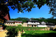 국가유산채널 > 참여 > 자료실 > 이야기 자료 > 상세보기: 해남 달마산 미황사 국가유산채널