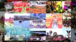 핫플레이스 코리아 종합 (23회) | 프로그램 - 정책 | KTV 국민방송 핫플레이스 코리아 종합 (23회)