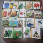 개똥이네-중고서적전문사이트 (개똥이네) 제이와이북스 첫발견시리즈-My First Discoveries set/Boardbook