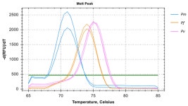 An Optimized Real-Time qPCR Method for the Effective Detection of Human Malaria Infections