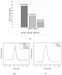 Screening of Azo-Dye-Degrading Bacteria from Textile Industry Wastewater-Activated Sludge