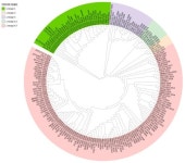 Variations in NSP1 of Porcine Reproductive and Respiratory Syndrome Virus Isolated in China from 1996 to 2022