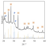 Deposition of Lead Phosphate by Lead-Tolerant Bacteria Isolated from Fresh Water near an Abandoned Mine