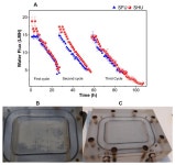 Inorganic Scaling Mechanisms During Forward Osmosis Concentration of Fresh vs. Hydrolysed Urine: Theoretical Modelling and...