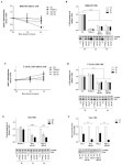 Deletion of 82–85 N-Terminal Residues in SARS-CoV-2 Nsp1 Restricts Virus Replication