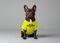Dog wearing T-Shirt Mockup - Mockup World Dog wearing T-Shirt Mockup