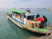 원예고등학교비상급수시설 | 무안군, 망운면 탄도리 비상급수 지원 - 무안군청 무안군, 망운면 탄도리 비상급수 지원