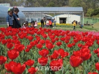 Naver хайлтын үр дүнгийн зураг 6