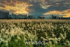 Foto hasil pencarian Naver 5