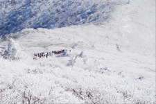 나주시산림조합(1종) | - 산림조합중앙회