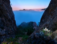 밀양시산림조합(1종) | - 산림조합중앙회