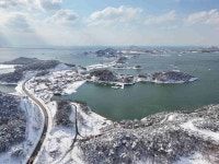 영암군산림조합(4종) | - 산림조합중앙회