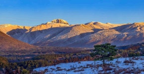 밀양시산림조합(1종) | - 산림조합중앙회