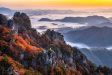 밀양시산림조합(1종) | - 산림조합중앙회