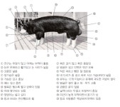 버크셔