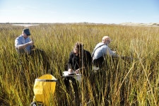 Research Media and Products - Cape Cod National Seashore (U.S. National Park Service)
