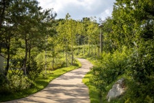 Foto aus Naver-Suchergebnissen 2