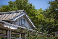 Foto aus Naver-Suchergebnissen 5