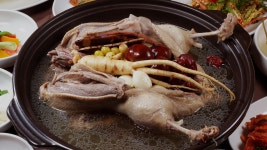 운남대림오토바이 | 운남골