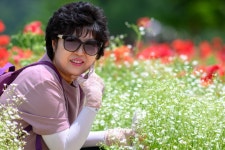 이조원꽃향기 | 꽃 향기 - 팝코넷 | 포토 갤러리 꽃 향기