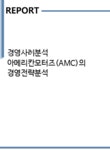 경영사례분석 아메리칸모터즈(AMC)의 경영전략분석 - 경제경영 경영사례분석 아메리칸모터즈(AMC)의 경영전략분석