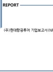 (주)현대항공투어 기업보고서(NR1) - 기업요약보고서 (주)현대항공투어 기업보고서(NR1) 기업보고서 기업요약보고서