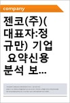 (주)젠코에스앤에스 | 젠코(주)(대표자:정규만) 기업 요약신용분석 보고서(CR1)-국문