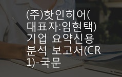 (주)핫인히어(대표자:임현택) 기업 요약신용분석 보고서(CR1)-국문