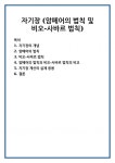 자기장 (암페어의 법칙 및 비오-사바르 법칙)