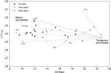 Scatter plot of the δ 13 C value of POM vs. C/N ratio at three depths.... | Download Scientific Diagram FIGURE 5. Scatter plot...