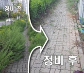 경제정책과(오류왕길동) | 보도자료-서구 오류왕길동, 잡초제거 및 대청소 실시 내용 | 인천광역시 서구>소통>서구소식>보도자료
