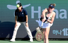 서울특별시체육회 | 열린광장 | 포토갤러리 2022 WTA 하나은행 코리아오픈 테니스대회