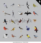 다양한 새들 만화 벡터 일러스트레이션 6 스톡 벡터(로열티 프리) 2126114564 | Shutterstock